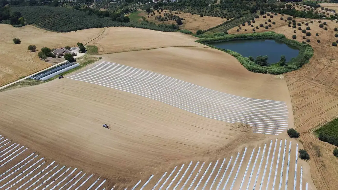 Veridia's crops in Abruzzo