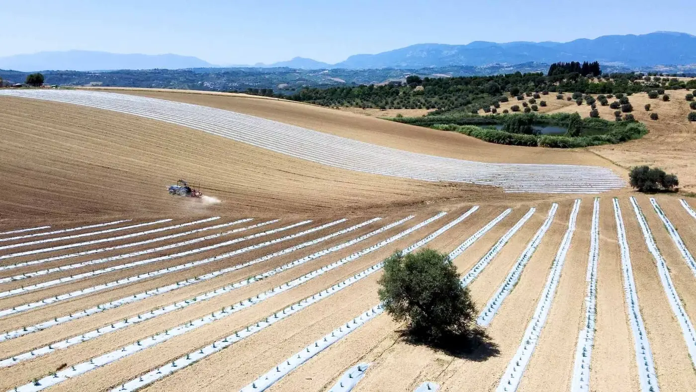 I campi coltivati di Veridia in Abruzzo